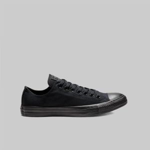 Converse Chuck Taylor All Star Low